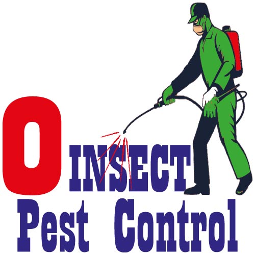 شركة مكافحة حشرات بالرياض